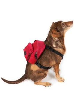 Eastpak Dog Pak'R - Dierbenodigdheden - Sailor Red