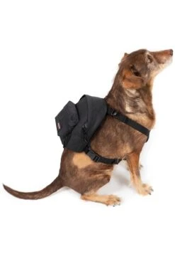 Eastpak Dog Pak'R - Dierbenodigdheden - Black