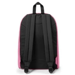 Eastpak Out Of Office Rugzak Cloud Pink -Eastpak ek000767 4d3 alt003 uc231082 mhigh