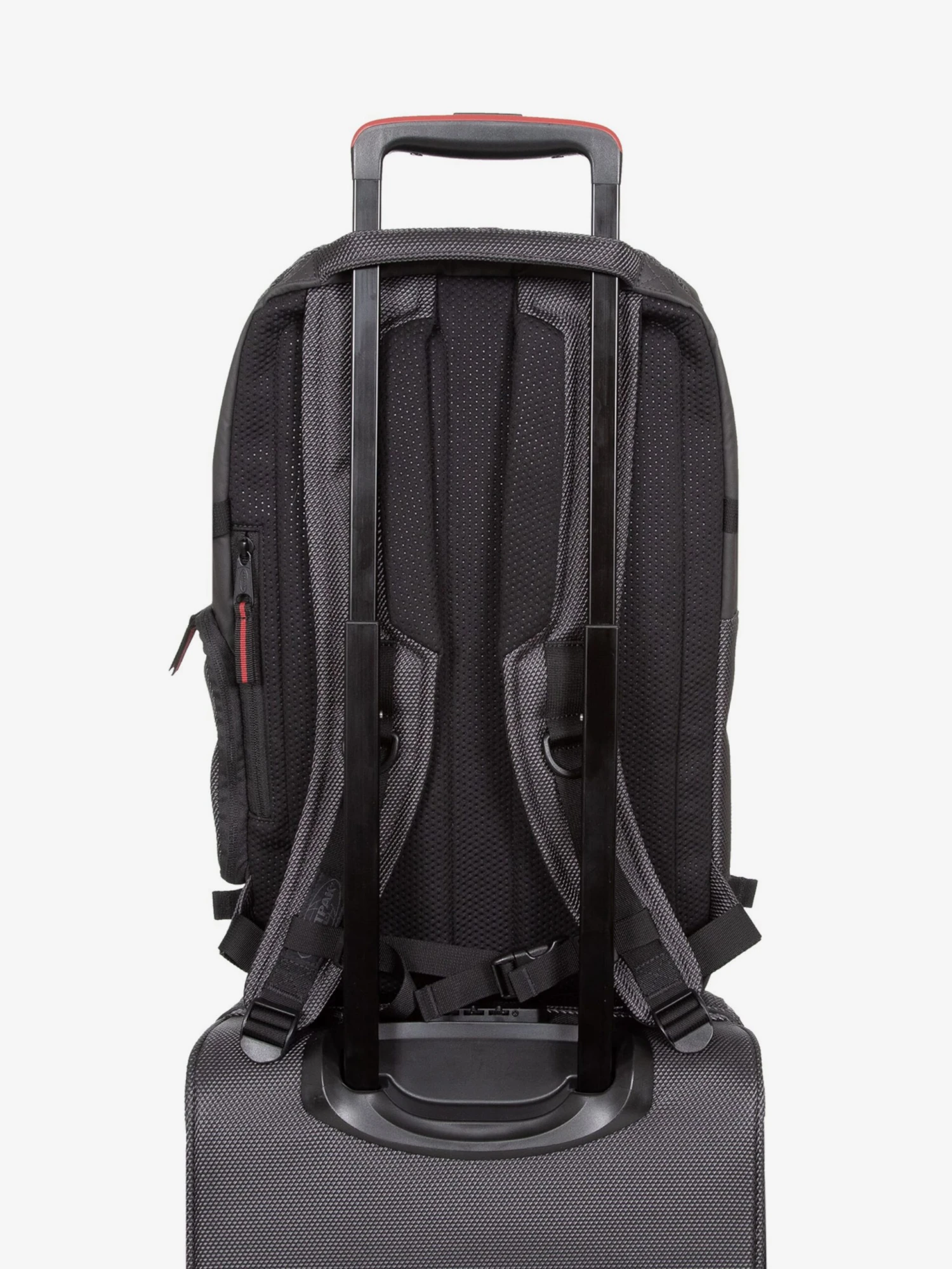 Eastpak Rugzakken Rugzak Tecum Dames Lichtgrijs / Donkergrijs 8 Eastpak Rugzakken Rugzak Tecum Dames Lichtgrijs / Donkergrijs - Afbeelding 6